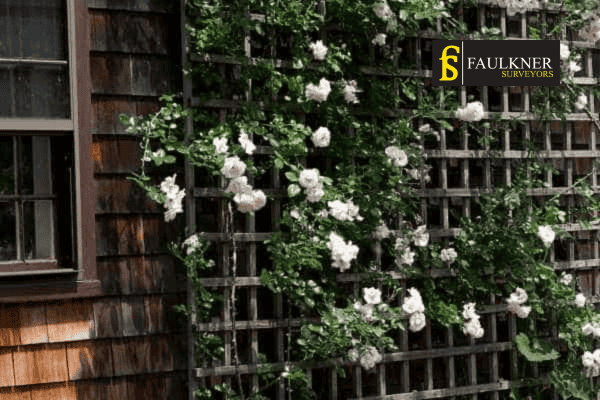 Can I put trellis on my Neighbours garage wall? 1 Can you add a trellis to your neighbours garage wall Guildford ? Party Wall Surveyors Guildford