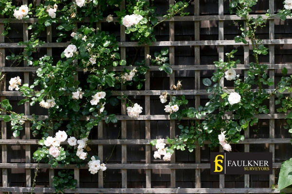 Can I put trellis on my Neighbours garage wall? 2 Do you want to adapt your neighbours garage door and add a trellis Guildford? Talk to Faulkner Surveyor Guildford